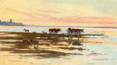 OBERTHÜR (Joseph)
Vaches en Camargue. Aquarelle...