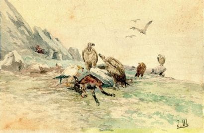 OBERTHÜR (Joseph)
Vautours près d'un âne...