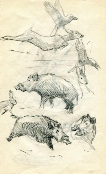 OBERTHÜR (Joseph)
Sangliers. Dessin original,...