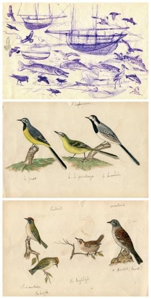 OBERTHÜR (Joseph)
Bateaux, poissons, mouettes,...