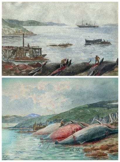 OBERTHÜR (Joseph)
Pêche à la Baleine. Aquarelle...