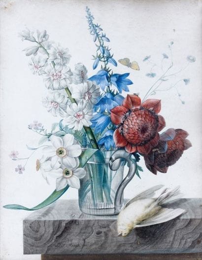 Pierre-Joseph REDOUTE (Saint-Hubert, Belgique...