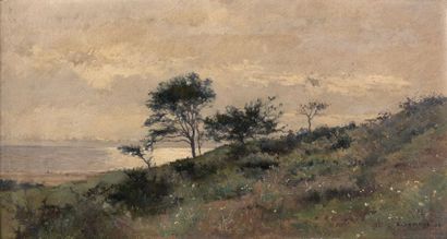Pierre Emmanuel DAMOYE (1847-1916)
Colline...