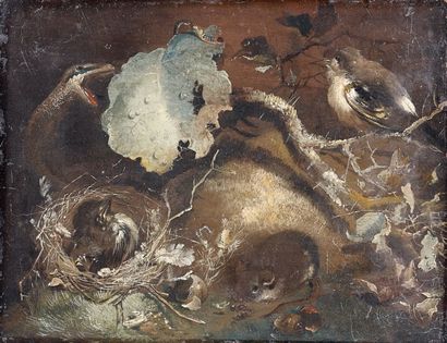 Ecole de Otto MARSEUS VAN SCHRIECK (1613-1673)
Oiseaux,...