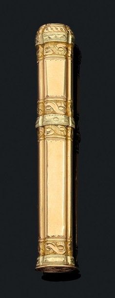 Etui à aiguille en ors de deux couleurs (750)...