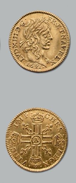 Louis XIII (1610-1643) Demi-louis de Warin,...
