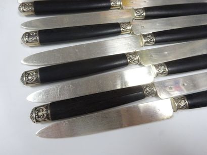 Seize couteaux à fruit, lame argent (min...