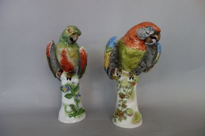 Dans le goût de SAXE
Deux perroquets en porcelaine...