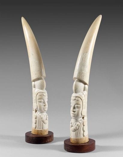 Deux défenses d'éléphant d'Afrique, polies...