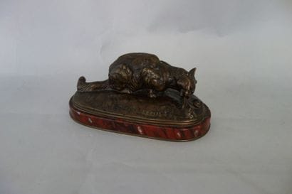 D'après Emmanuel FRÉMIET (1824-1910)
Chat...
