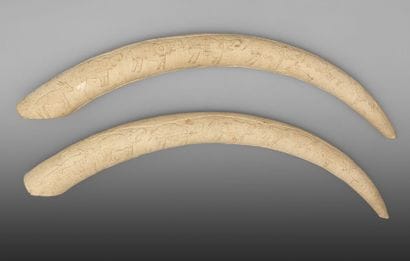Deux défenses sculptées d'éléphant d'Afrique,...