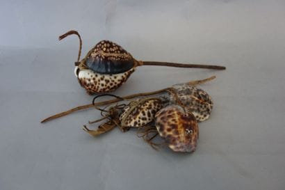 Leurre et deux fragments formés de coquillages...