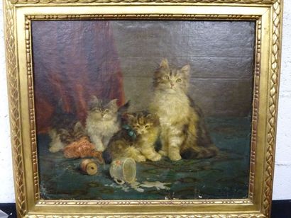 MERLIN
Chatte et ses chatons, une tasse de...