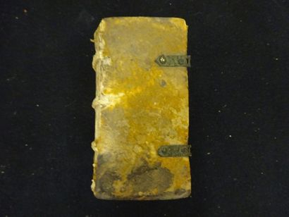 Caii Sallustii Crispi, Opera Omnia Quae Exstant,...