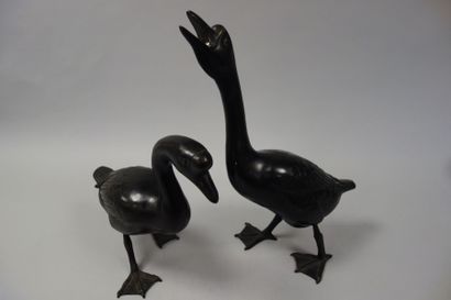 JAPON
2 Oies en bronze à patine noire, l'une...