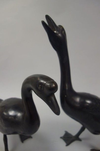 JAPON
2 Oies en bronze à patine noire, l'une...