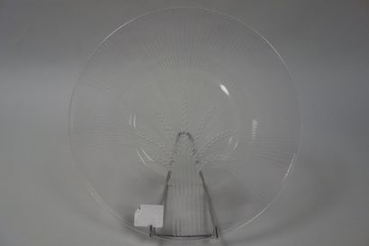 LALIQUE FRANCE
Plat 