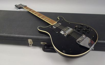 RICKENBACKER
Guitare électrique et étui....
