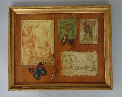 Ecole du XXème siècle
Trompe l'?il au papillon...
