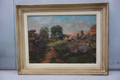 Jules Alfred Hervé-Mathé (1868-1953)
Paysage...