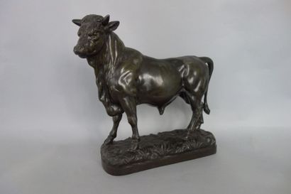D'après Georges OMERTH (actif 1895-1925)
Taureau....