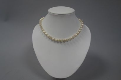 Collier de perles de culture choker , fermoir...