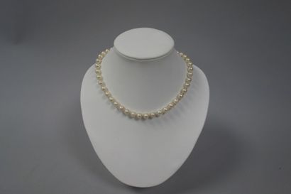 Collier de perles de culture choker , fermoir...