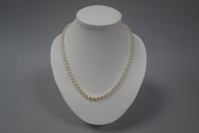 Collier à un rang de perles de culture en...