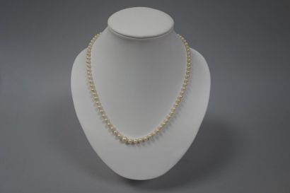 Collier à un rang de perles de culture en...