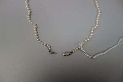 Collier de perles de culture en chute, le...
