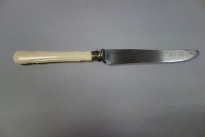 - Douze couteaux de table, à manches violoné...
