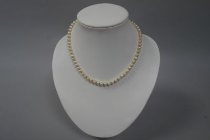 Collier de perles blanches de culture en...