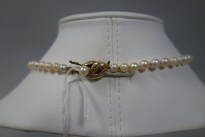 Collier de perles blanches de culture en...
