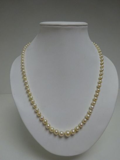 Collier de perles en chute, fermoir or jaune...