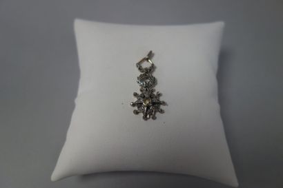 Ordre de la Légion d'Honneur

Réduction de...