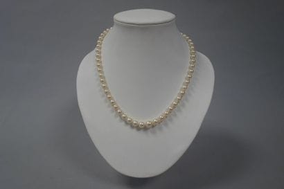 Collier ras de cou en perles de culture blanches...