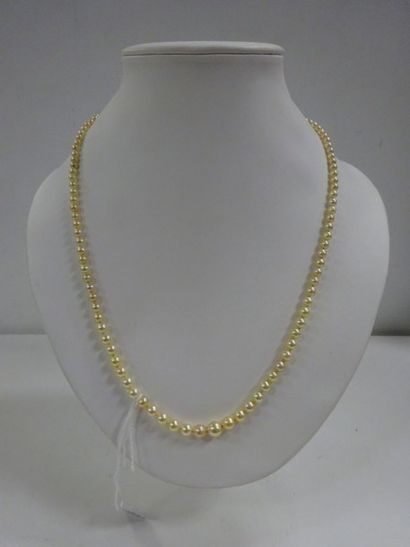 Collier de perles de culture en chute, fermoir...