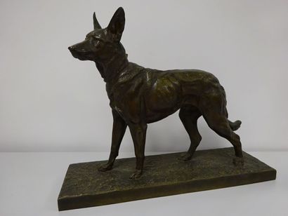 D'après Charles PAILLET (1871-1937)
Chien...