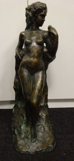 NON VENU