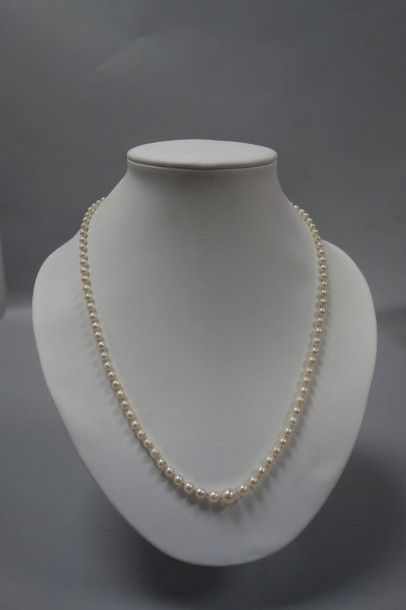 Collier de perles de culture en chute. 

Fermoir...