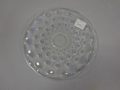 RENE LALIQUE (1860-1945)
Assiette de présentation...