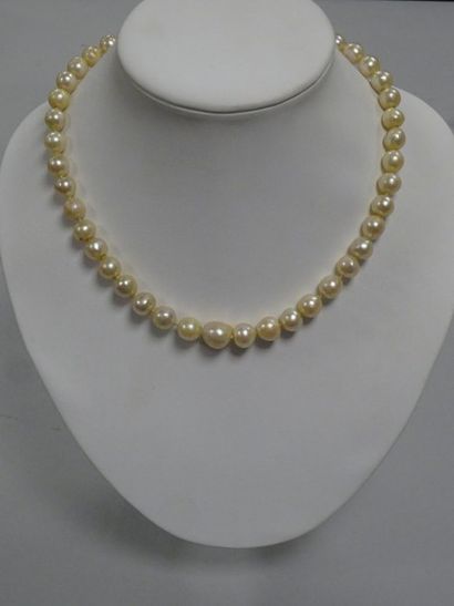 Collier de perles de culture, fermoir en...