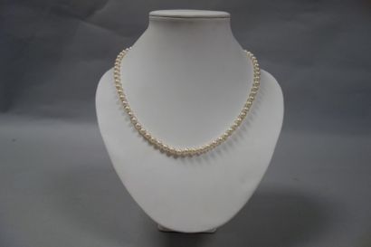 Collier de perles de culture choker, fermoir...