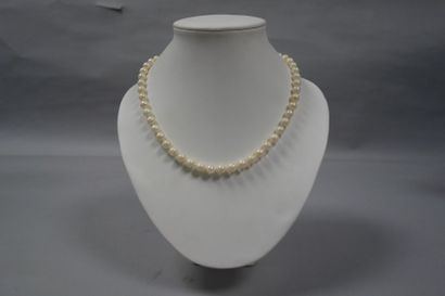 Collier choker de perles de culture blanches.
Fermoir...