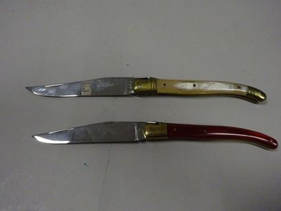 LAGUIOLE

Lot de 2 couteaux pliants.

Us...
