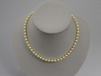 Collier de perles de culture légèrement champagne...