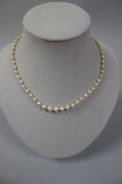 Collier de perles de culture blanches en...