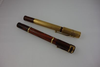 WATERMAN
Deux stylos plume en résine orange...