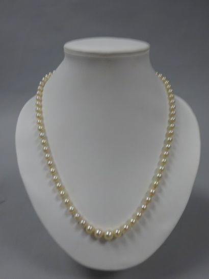 Collier de perles de culture blanches en...
