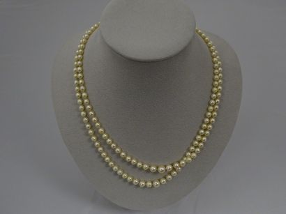 Collier à deux rangs en chute de perles de...